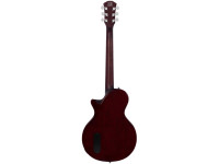 Sire Larry Carlton L3 P90 Gold Top Sire Larry Carlton L3 P90 Gold Top